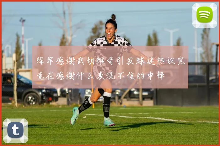 绿军感谢武切维奇引发球迷热议究竟在感谢什么表现不佳的中锋