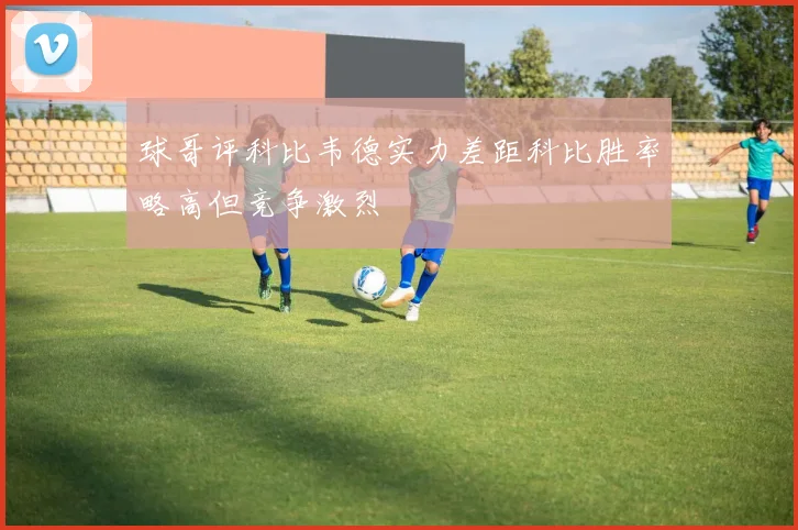 球哥评科比韦德实力差距科比胜率略高但竞争激烈