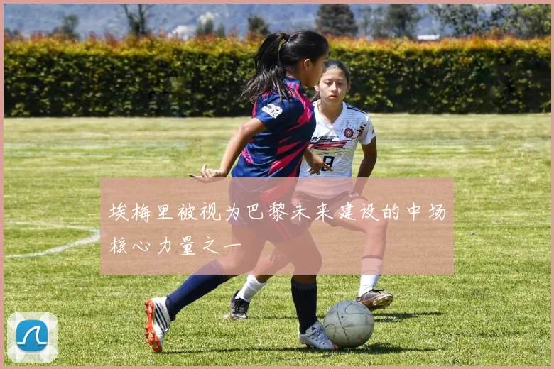 埃梅里被视为巴黎未来建设的中场核心力量之一
