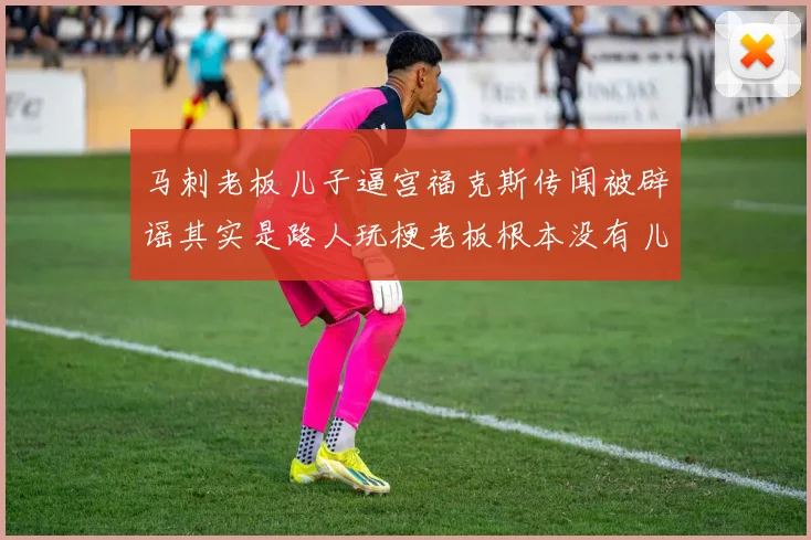 马刺老板儿子逼宫福克斯传闻被辟谣其实是路人玩梗老板根本没有儿子