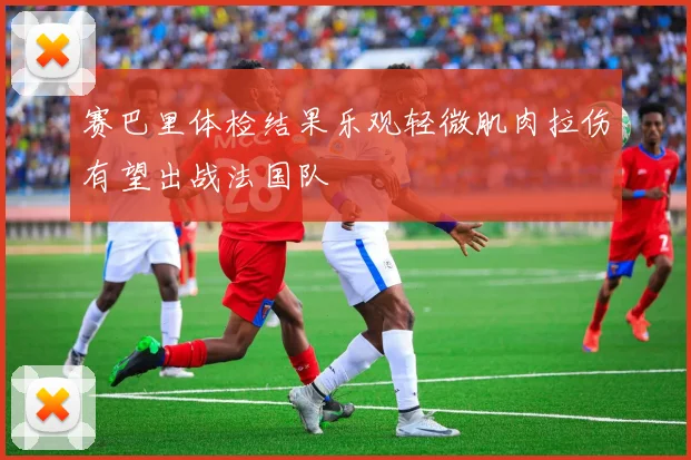 赛巴里体检结果乐观轻微肌肉拉伤有望出战法国队