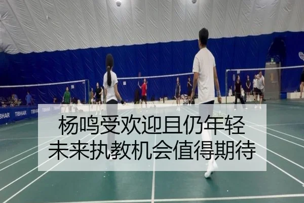 杨鸣受欢迎且仍年轻 未来执教机会值得期待